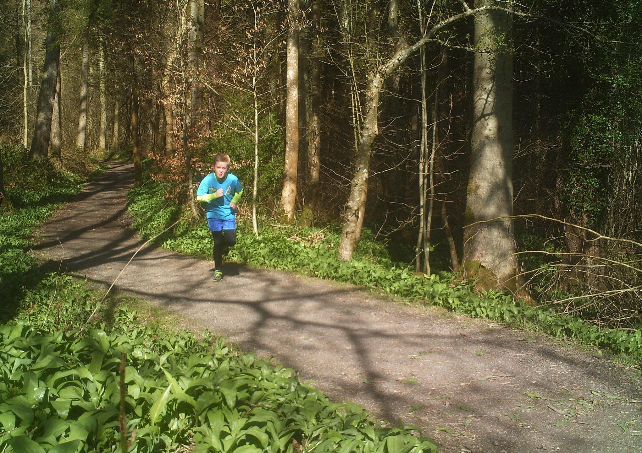 Orienteer running on track in great Scottish outdoors