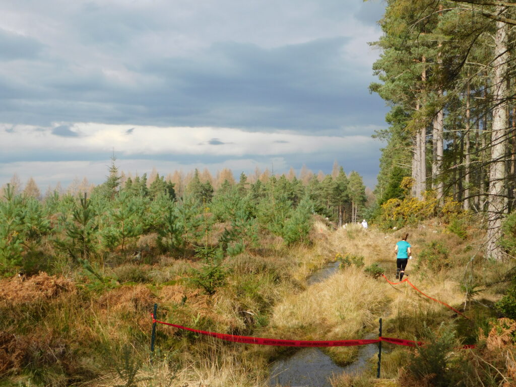 looking into the forest with a runner running down the track towards the finish 