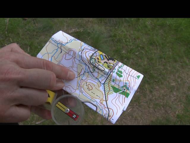 Map reading an orienteering map in the great outdoors and getting close to nature